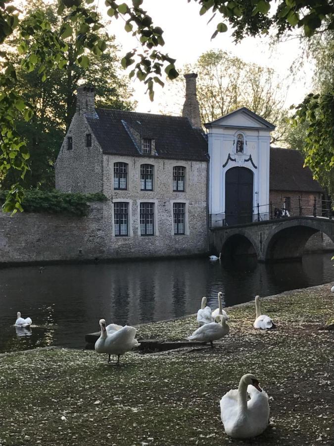 The Bank 1869 - Unique Guestrooms In The Historic Center Of Brugge Dış mekan fotoğraf